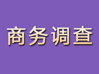 尉氏商务调查